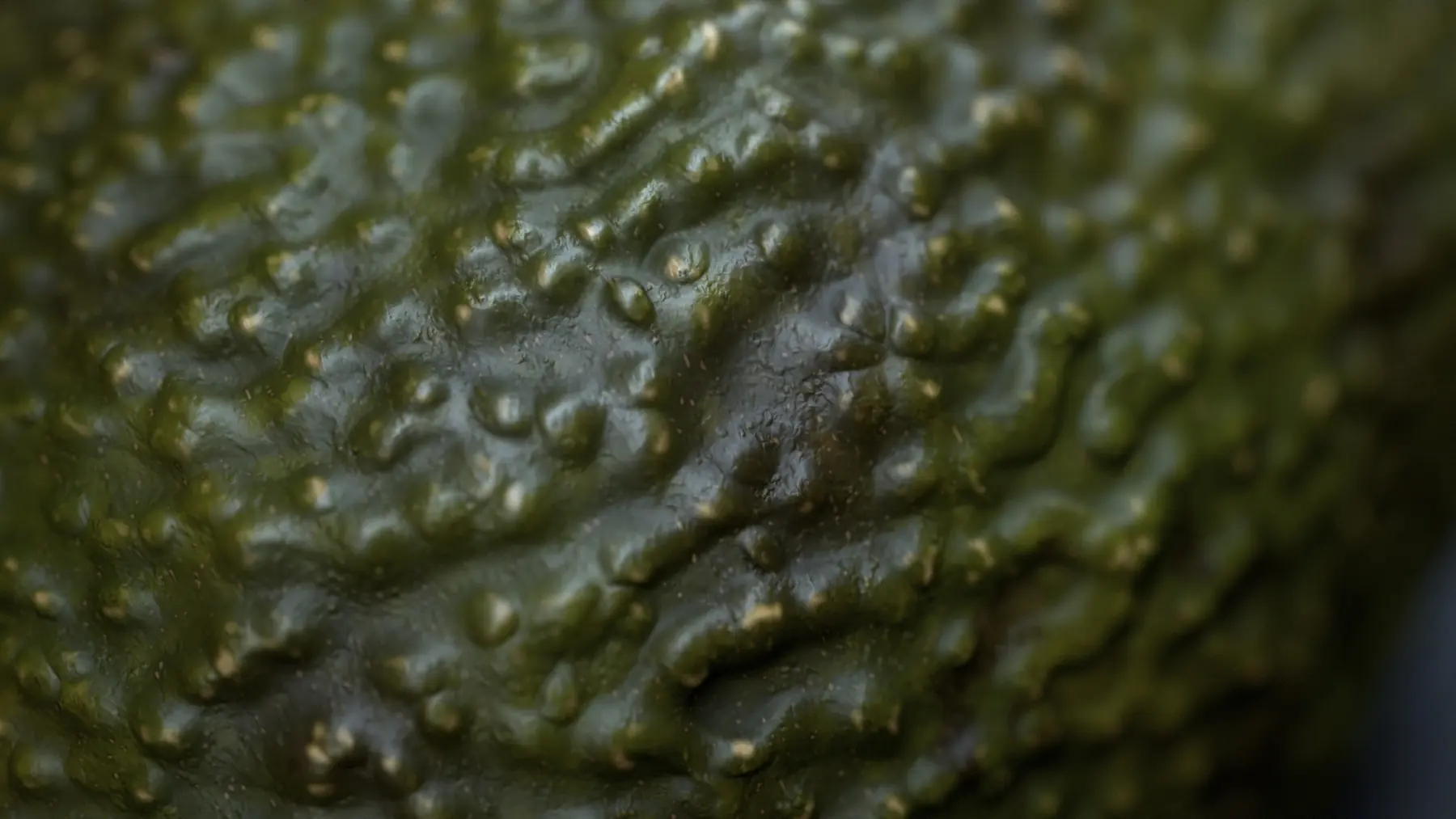 Whole and cut avocado showing procedural skin material