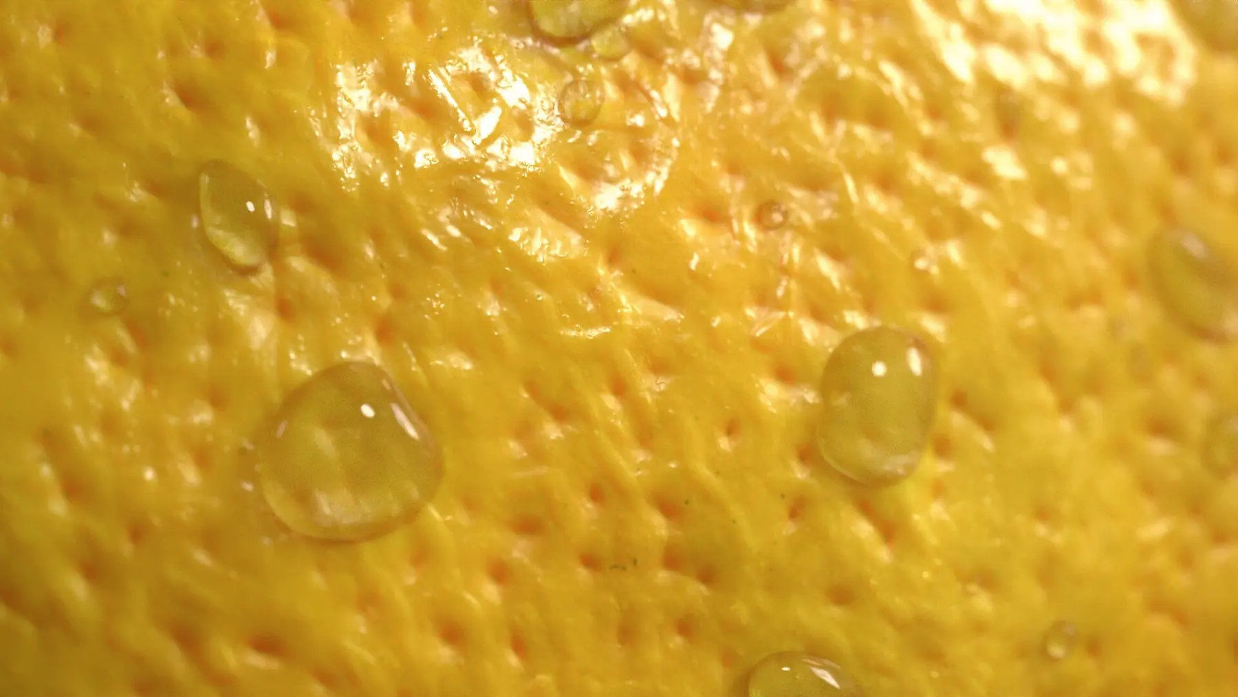 Detailed procedural lemon PBR material created by Morien Ohneisser for Marmoset
